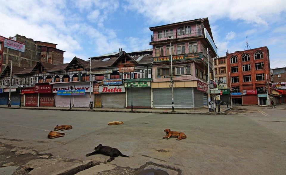 Auch in Indien sind die Straßen leergefegt. Den Hunden kann es recht sein: Da, wo sonst der Verkehr fließt und Menschen die Straße bevölkern, können sie nun ein Nickerchen machen.