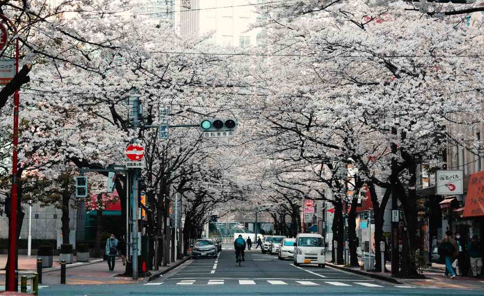#9 Japan Japan kam mit 623,19 Punkten auf Rang neun. Die gute Platzierung überrascht, zeigt aber vielleicht, dass Corona-Rankings immer nur eine Momentaufnahme sein können. In Japan ist im April die Kritik an der Regierung gewachsen. Kritiker werfen ihr ein schlechtes und zu zögerliches Krisenmanagement vor. So sollen infizierte Passagiere vom Kreuzfahrtschiff „Diamond Princess“ das Virus in die Bevölkerung getragen haben. Japan erhielt aber von den Londoner Analysten in der Kategorie „Quarantäne“ rund 159 Punkte. Das war das zweitbeste Ergebnis hinter „effiziente Regierungsführung“ mit 179 Punkten. Die Deep Knowledge Group veröffentlichte nur für ausgewählte Länder die detaillierten Ergebnisse.