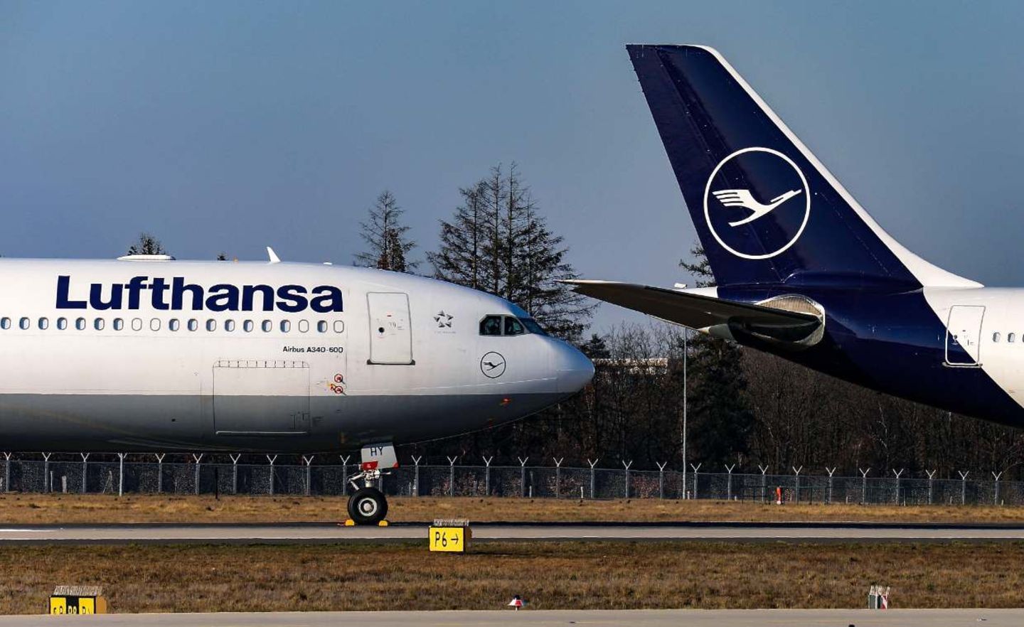 Parkende Lufthansa-Maschinen in Frankfurt: Während der Corona-Pandemie ruhte der Flugverkehr fast vollständig