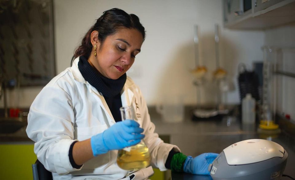 Ausgezeichnet für: Tierra de Monte, ein Start-up, das Agrarprodukte zur (Wieder-)Fruchtbarmachung von Böden und Stärkung von Nutzpflanzen entwickelt