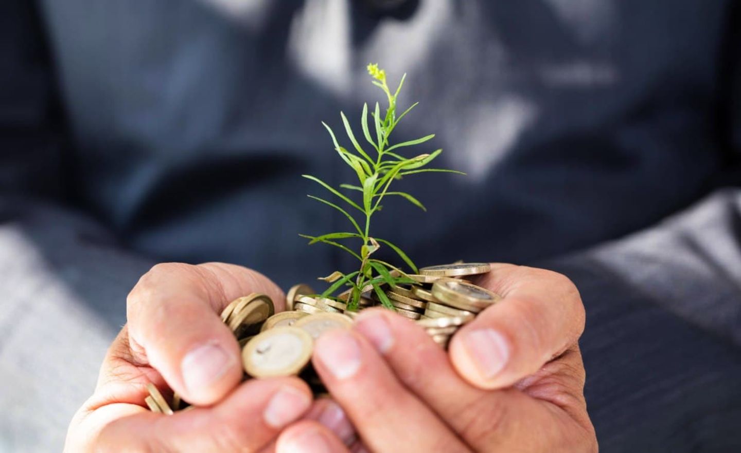 Geld anlegen und Gutes tun: Viele Anleger wollen mit gutem Gewissen investieren