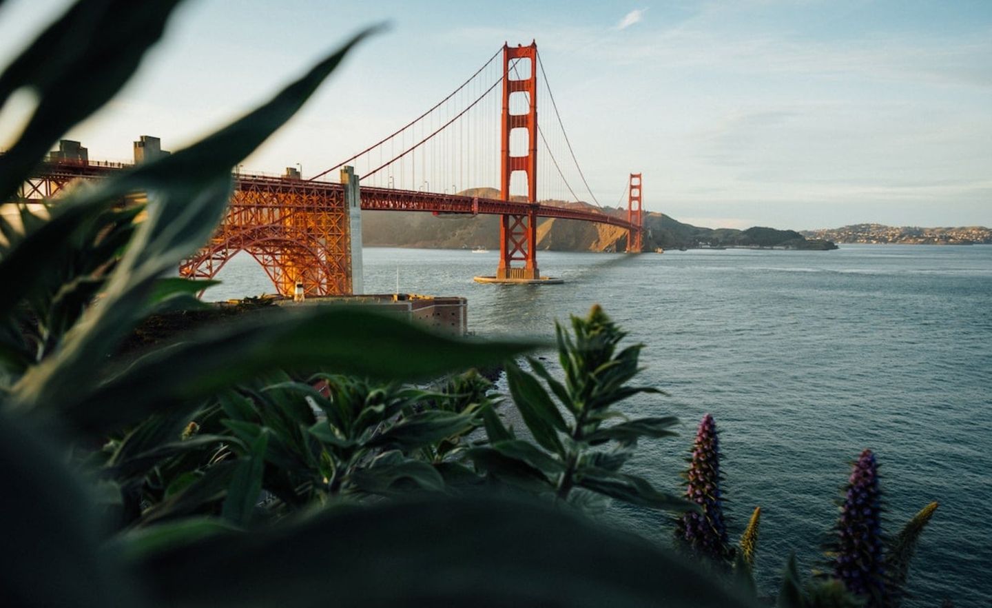 Venture-Capital-Firmen aus San Francisco und Umgebung gelten als besonders erfolgreich