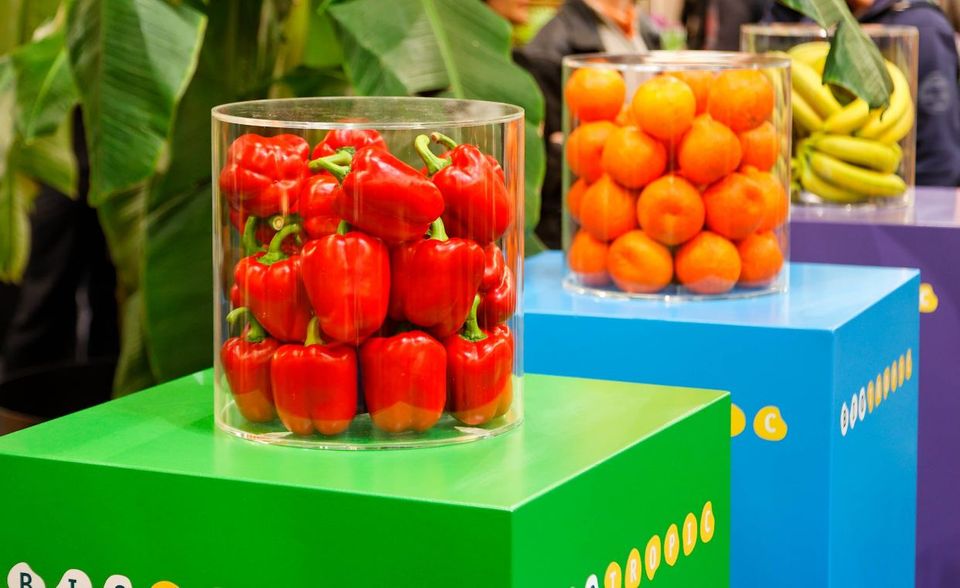Plexiglas ist derzeit allgegenwärtig. Die transparenten, bruchsicheren Scheiben sollen in Geschäften und Büros vor Ansteckung mit dem Coronavirus schützen. Häufig ist aber gar nicht Plexiglas gemeint, wenn von solchen Schutzscheiben die Rede ist. Plexiglas ist ein Markenname für Acrylglas. Der Werkstoff wurde 1933 vom Chemiker Otto Röhm und seinen Mitarbeitern in Darmstadt erfunden. Die Rechte an der Marke lagen seitdem bei der Evonik Röhm GmbH und seit 2019 bei der Röhm GmbH.