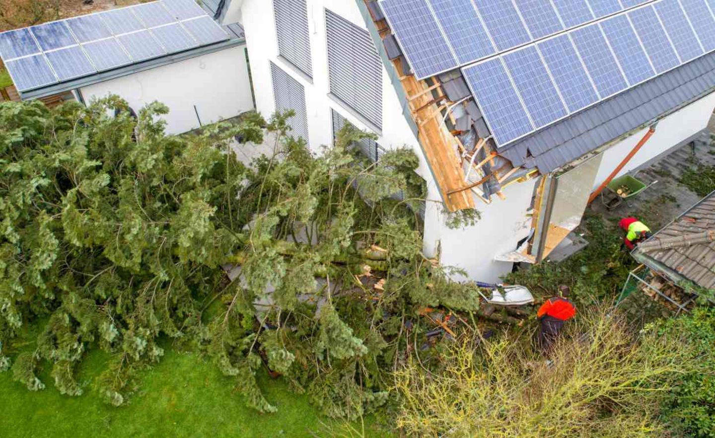Umstürzende Bäume können schwere Schäden an Wohnhäusern verursachen