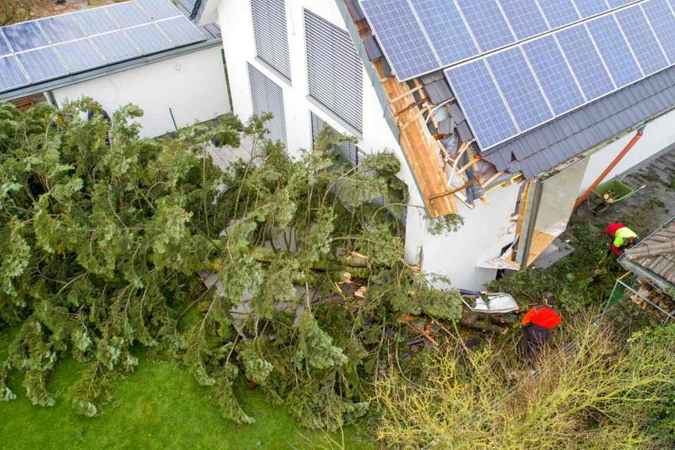 Umstürzende Bäume können schwere Schäden an Wohnhäusern verursachen