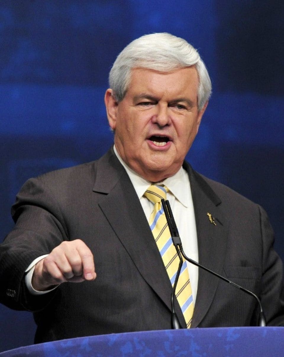 Newt Gingrich wollte 2012 selbst Präsident werden, scheiterte aber bei den Vorwahlen der Republikaner