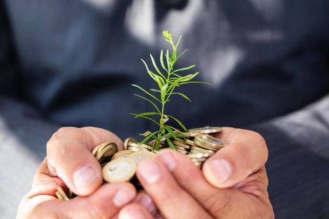 In Erwartung einer steigenden Nachfrage bringen Investmentgesellschaften immer mehr Fonds für das gute Gewissen auf den Markt.