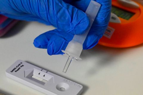 Schnelltests sollen Klarheit über eine Infektion mit dem Coronavirus schaffen