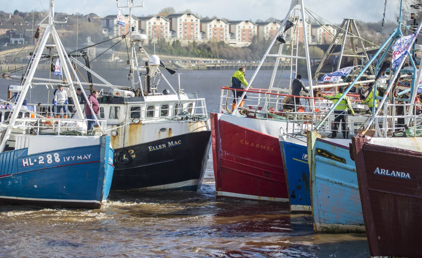 Fischerboote in Newcastle: Viele Fischer haben für den Brexit gestimmt.