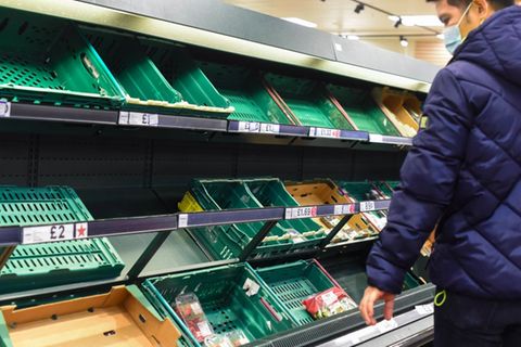 Chefs von Handelsketten warnen: Es könnte zu leeren Supermarktregalen in Nordirland kommen.