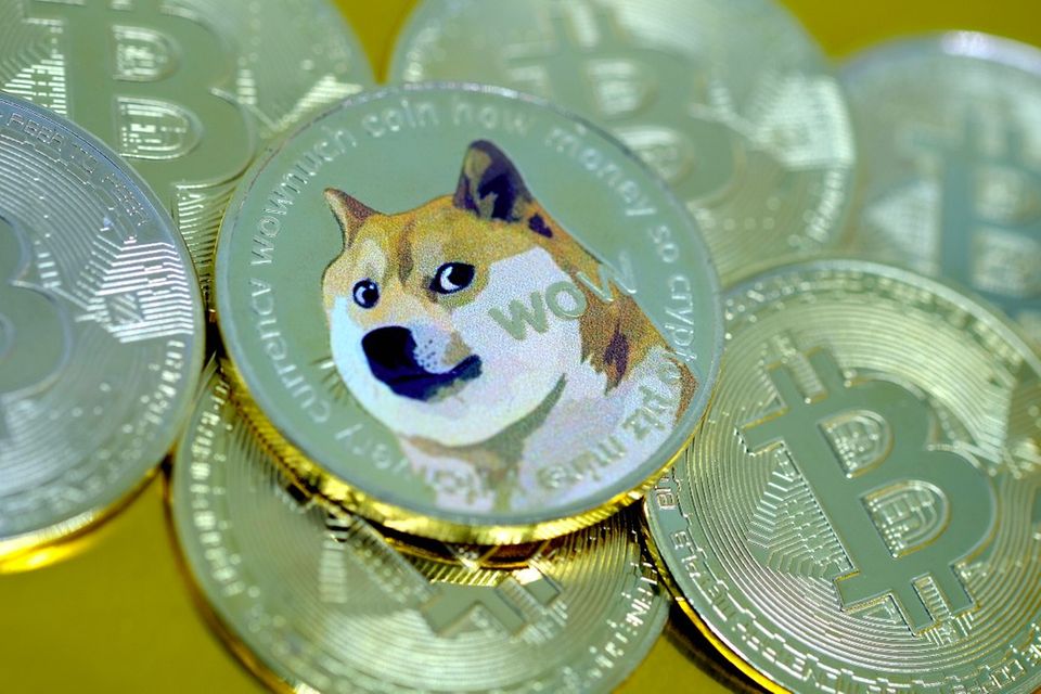 Das Markenzeichen der Dogecoin: ein Shiba Inu, der auf das Internet-Meme Doge anspielt
