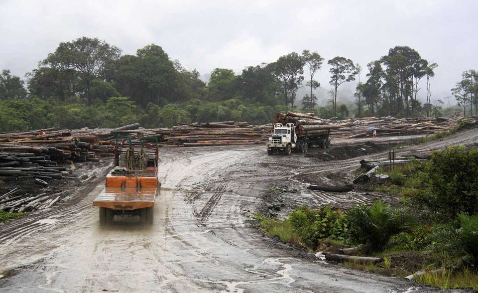 Für Malaysia ging es im Klimaschutz-Index von Germanwatch gleich drei Plätze bergab. 27,76 Punkte reichten nur noch für Rang 56. Die Gründe: Kaum erneuerbare Energien und eine schlechte Klimapolitik.