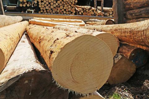 Welche Bedeutung hat die Holzknappheit für die Bauindustrie?
