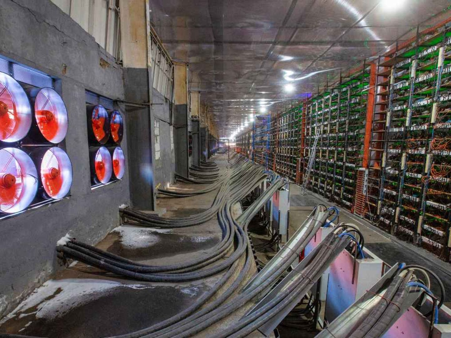 Bitcoin: Können Kryptowährungen überhaupt grün sein?