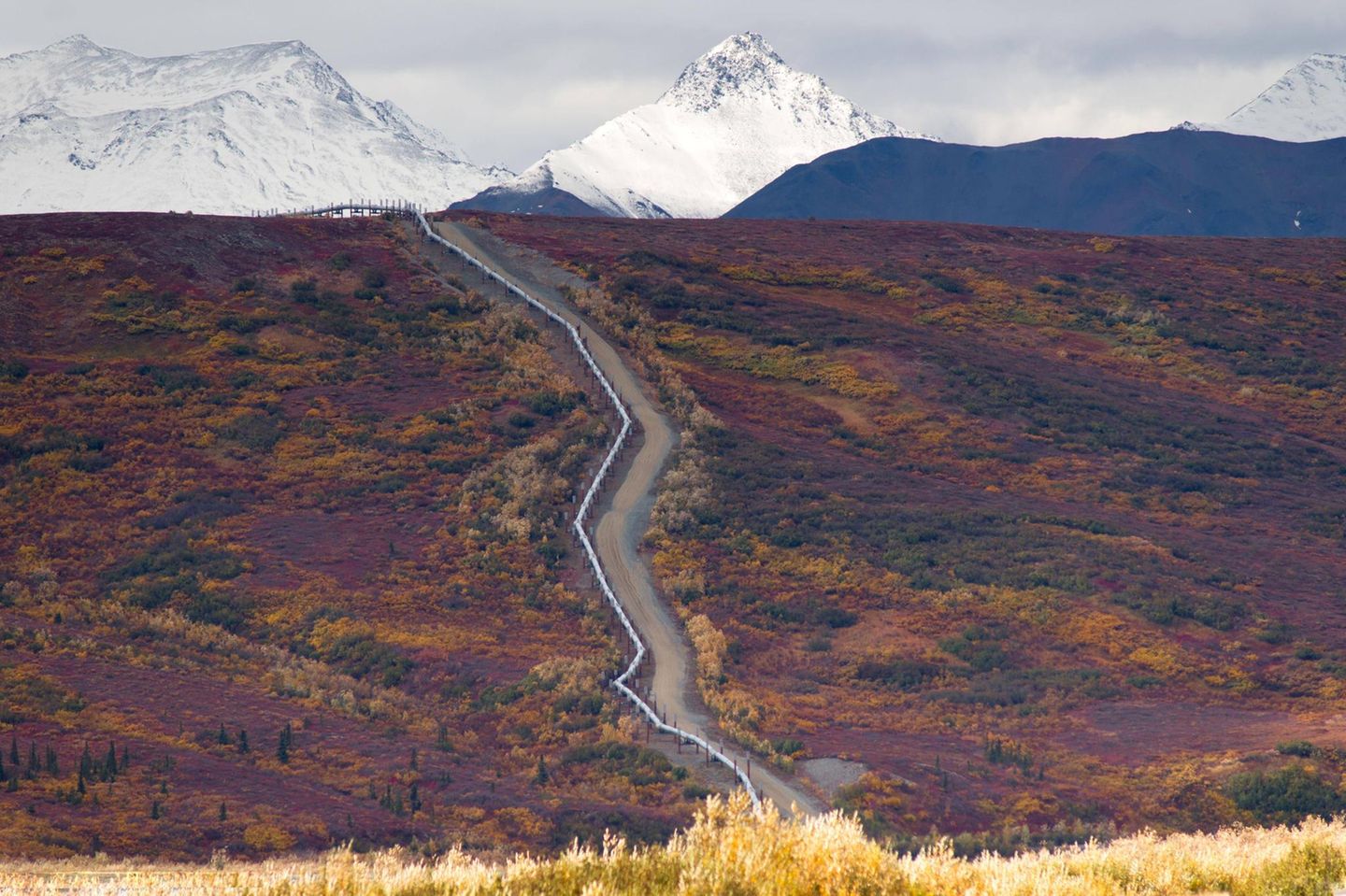 Eine Pipeline schlängelt sich durch Alaska