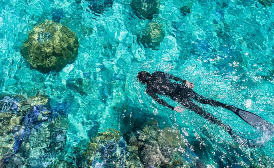 Ein seltenes Bild: Guillaume Néry mit Maske, Schnorchel und Schwimmflossen, Foto: Tim McKenna / Panerai
