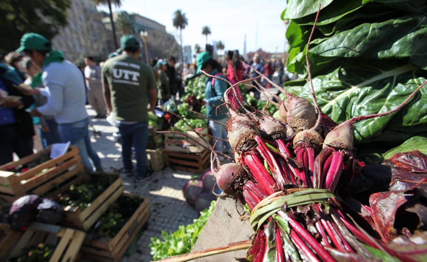 Gemüse auf einem Markt in Buenos Aires