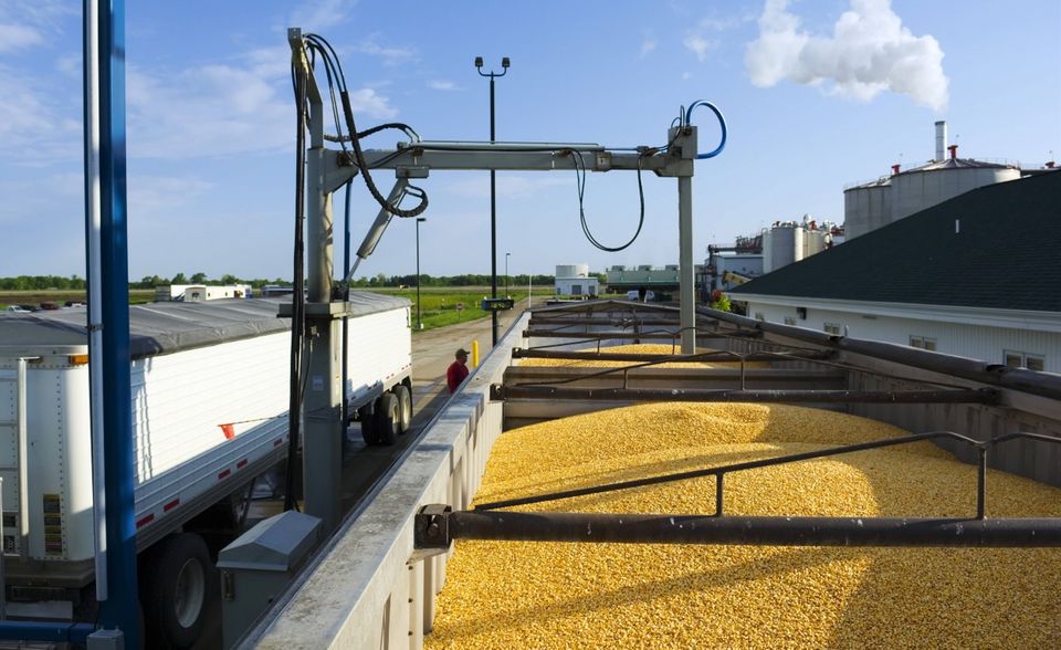 In einer Ethanol-Fabrik im amerikanischen Bundesstaat Iowa werden Lastwagen mit ihrer Ladung Maiskörner gewogen und Qualitätsproben entnommen. Viele Biosprit-Hersteller bieten attraktivere Konditionen als die Nahrungsmittelindustrie, so dass die Körner in den Tank wandern statt auf den Teller. Laut FAO-Index lag der Preis im Juni immer noch knapp drei Viertel über dem Vorjahresniveau. Ölsaaten wie Raps kletterten im Preis gar auf das Doppelte. Im Terminhandel stieg Mais laut Bloomberg im Mai auf ein Achtjahreshoch. 40 Prozent der US-Ernte gehen in Kraftstoffe, mehr als 30 Prozent in Tierfutter – von dem China eine große Menge abnimmt.