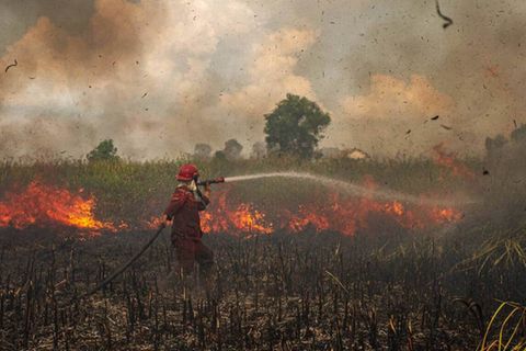 An diese Bilder werden wir uns gewöhnen müssen: Ein Feuerwehrmann bekämpft die Folgen einer Dürre in Indonesien.