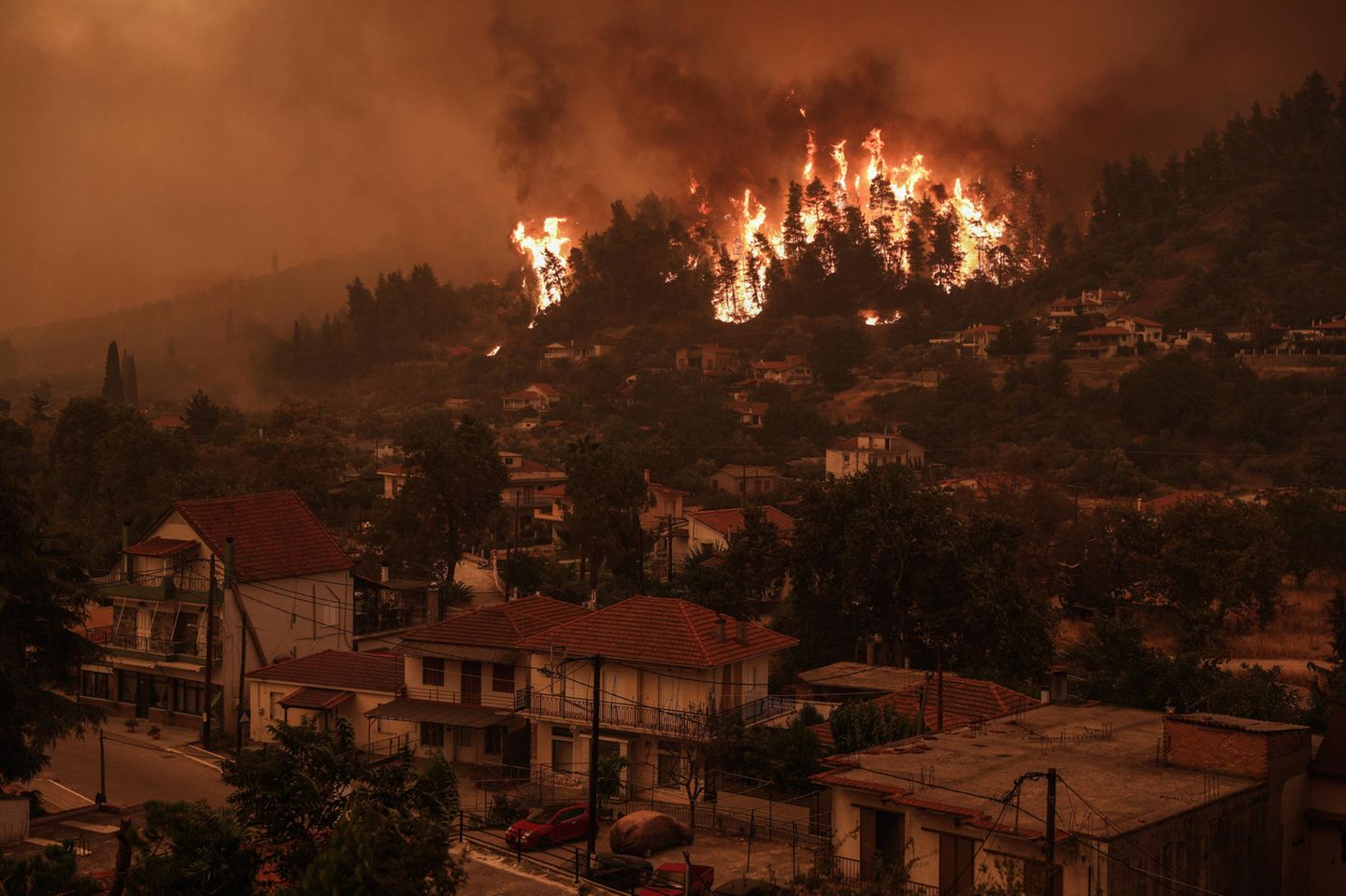 Auf der griechischen Insel Euböa wüten seit Tagen Waldbrände