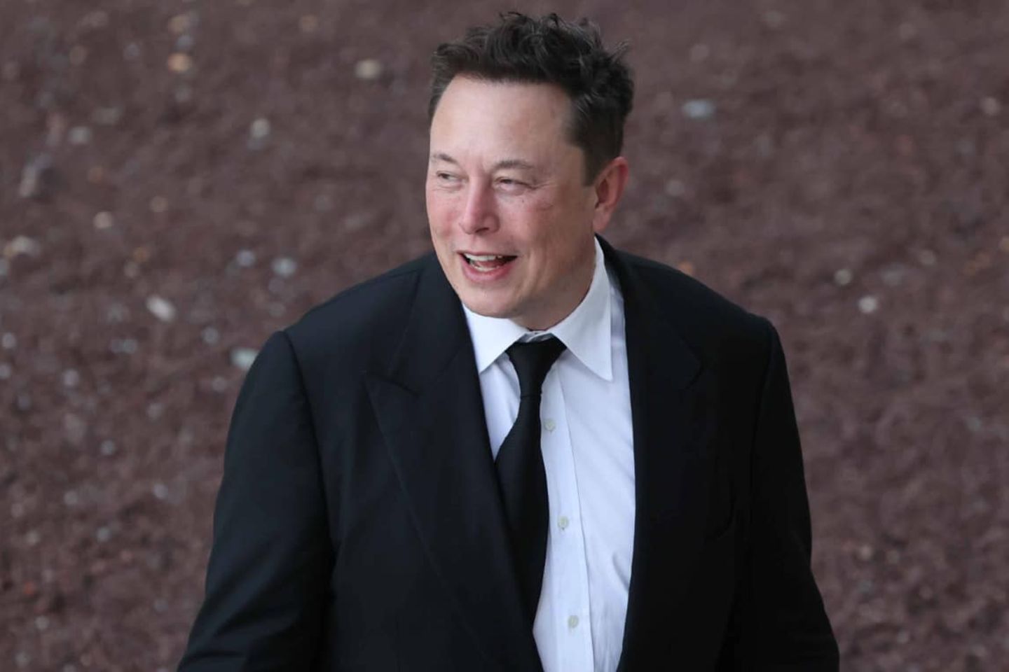 Für den Bau seiner Gigafactory beauftragte Tesla-Chef Elon Musk das Bauunternehmen Goldbeck