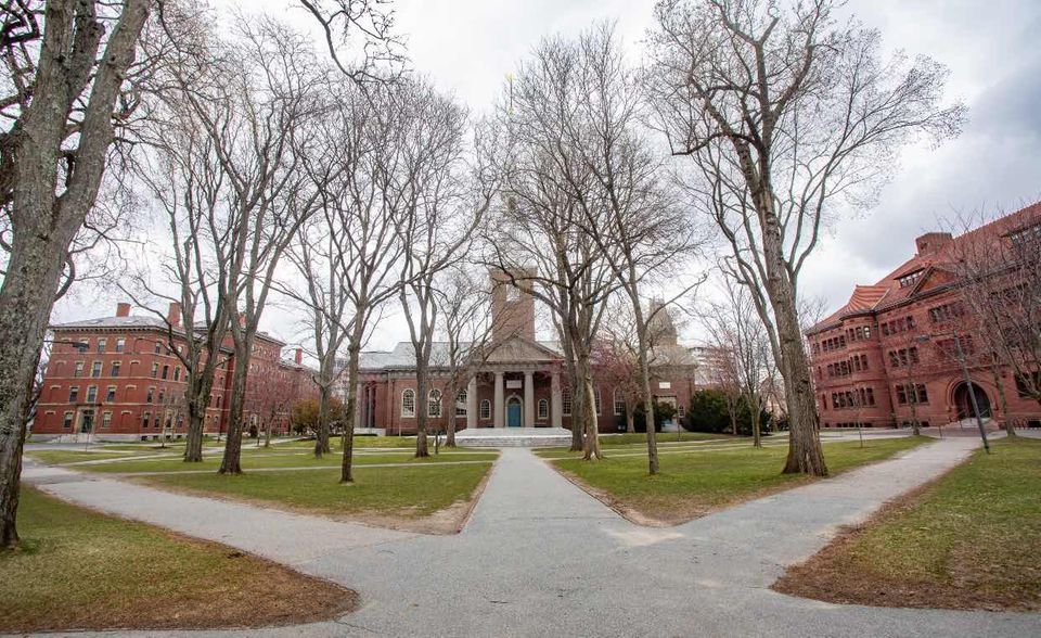 #2 Harvard University Die Harvard University hatte zu Beginn der Pandemie mit Anpassungsproblemen zu kämpfen. Der Inbegriff der Ivy League war im Ranking für 2020 um einen Platz auf Rang sieben gefallen. 2021 allerdings sprang sie auf Platz drei empor. Nun ging es einen weiteren Rang nach oben. 24 Prozent der 21.574 Studierenden stammten aus dem Ausland. 9,5 von ihnen kamen statistisch betrachtet auf eine Professorin oder Dozentin. Der Lehrkörper bestand zu exakt gleichen Teilen aus Frauen und Männern.