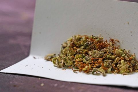 Die Debatte um die Legalisierung von Cannabis hat zuletzt an Fahrt aufgenommen, mit der Ampel-Koalition könnte sie Realität werden
