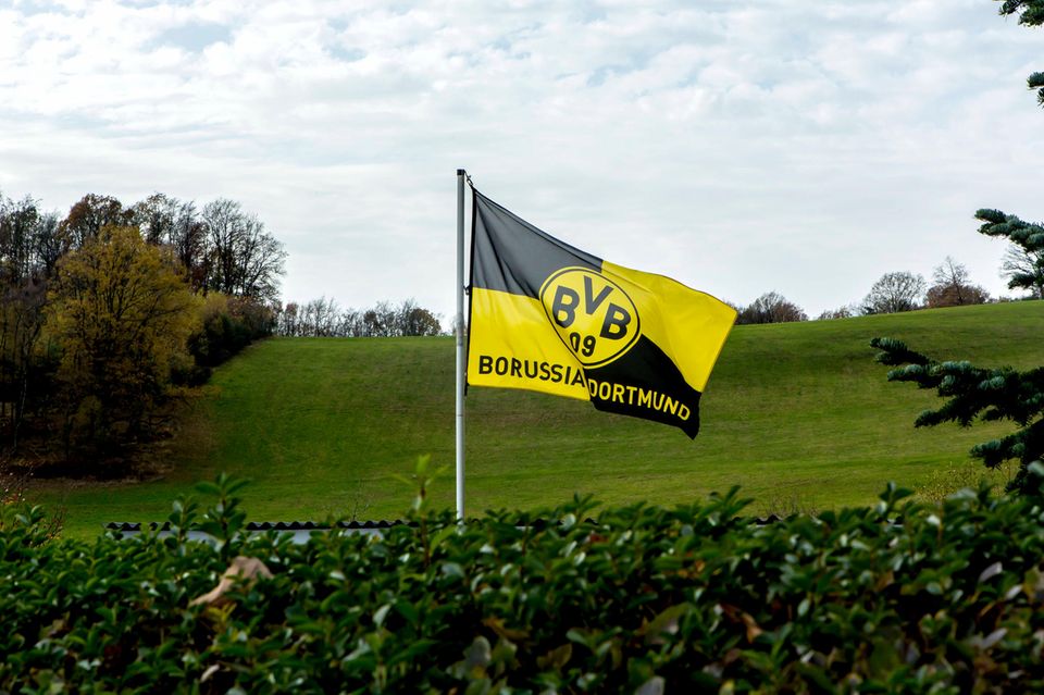 Eine Flagge des Fußball-Bundesligisten Borussia Dortmund weht in einem Garten