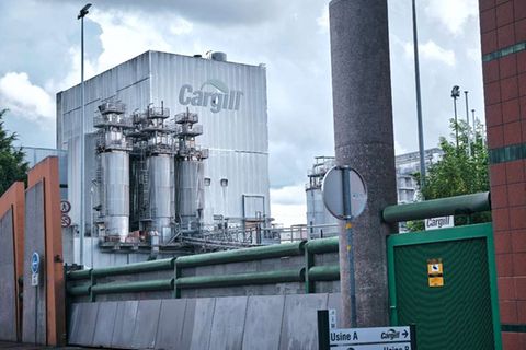Das Handelsunternehmen Cargill ist international weniger bekannt als die anderen Familienriesen aus den USA. Dabei gehört die Firma mit Hauptsitz in Wayzata, Minnesota, zu den traditionsreichsten Vertretern dieser Liste. Sie wurde 1865 von William Wallace Cargill gegründet. Cargill ist das erste Unternehmen des Rankings, das aktuell nicht von einem Familienmitglied geführt wird. CEO ist seit 2013 David MacLennan. Allerdings hat er Cargill im Blut. Sein Vater Everett arbeitete laut der Firmenbiografie 42 Jahre lang für das Unternehmen. Er begann als Getreidehändler und arbeitete sich zum Top-Manager hoch. Cargill belegte mit einem Umsatz von 114,6 Mrd. Dollar Platz acht des Rankings. Die Gründerfamilie kontrolliert demnach 85 Prozent der Anteile.