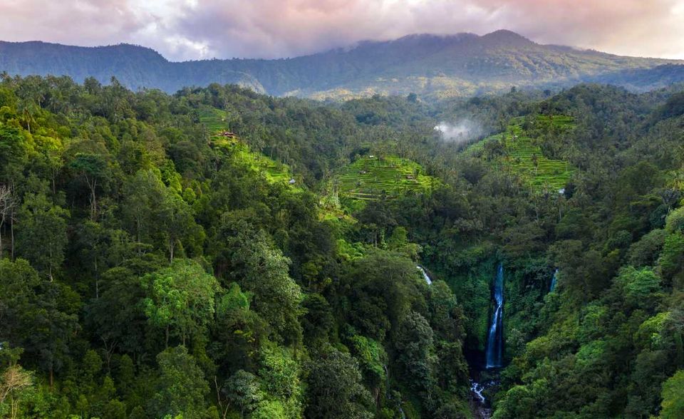 Der indonesische Regenwald spielt eine entscheidende Rolle für die Ökobilanz vieler Konzerne. Auch Volkswagen nutzt dort Aufforstungsprojekte, um Klimaneutralität zu erreichen. Trotzdem schrumpft die Waldfläche des Landes. Sie hat sich laut der Weltbank seit 1990 von 1,19 Millionen Quadratkilometer auf 921.332 Quadratkilometer verkleinert. Der Anteil des Waldes verringerte sich demnach entsprechend von 65 auf 49 Prozent.