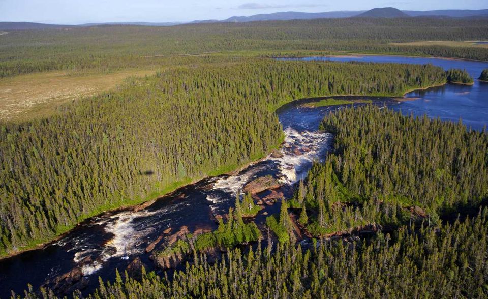 Nahezu unverändert fiel die Waldbilanz auch bei Kanada aus. Die Datenbank verzeichnete 2020 rund 3,47 Millionen Quadratkilometer Wald. Das entsprach 39 Prozent der Landesfläche. 1990 waren es 3,48 Millionen Quadratkilometer gewesen.