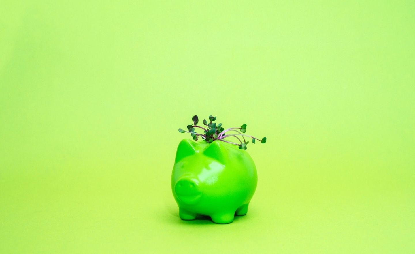 Symbolbild grüne Geldanlage