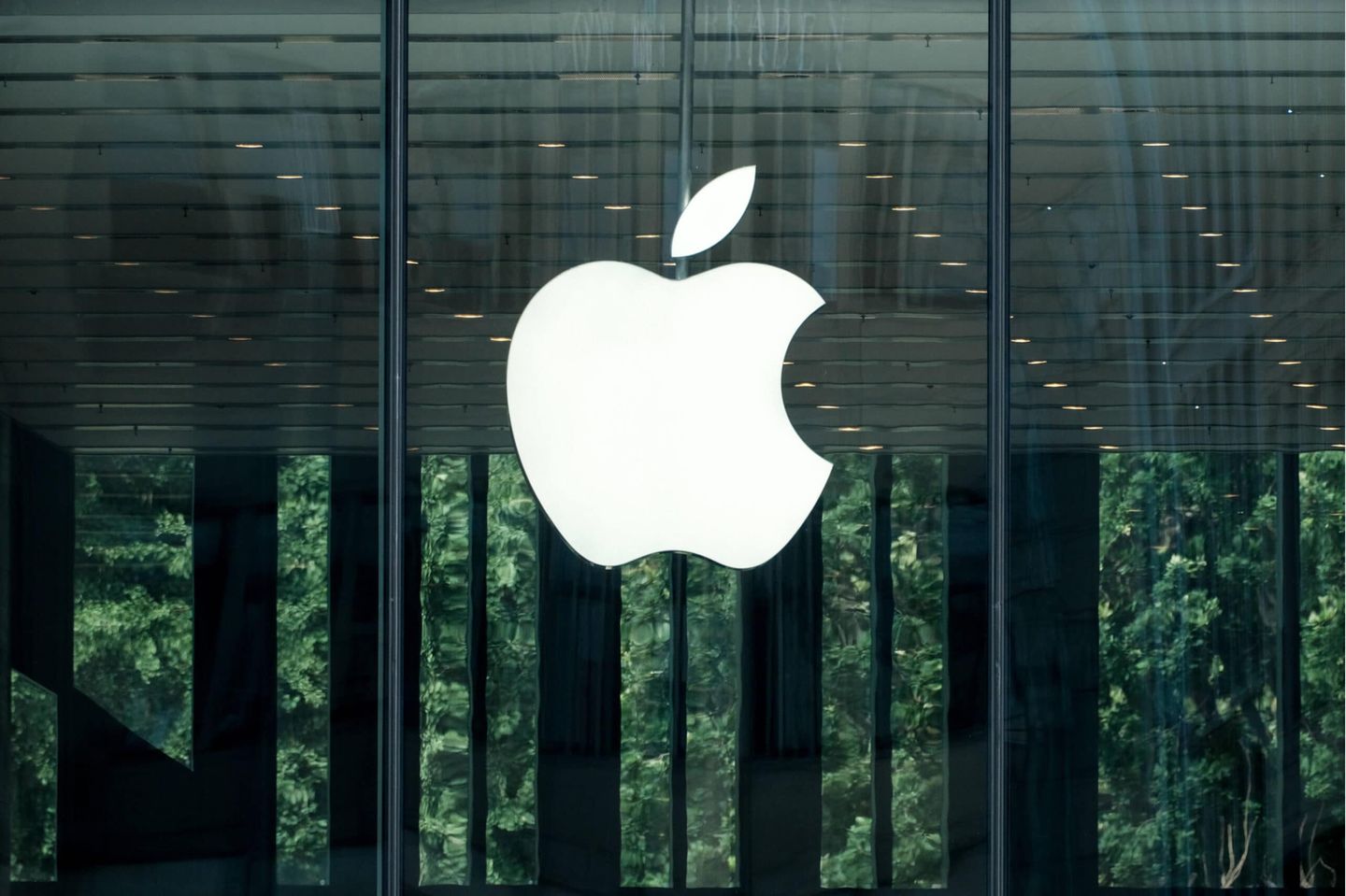 Es stellt sich die Frage: Wie fair sind die Big Techs bewertet?