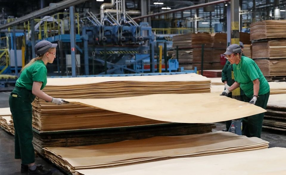 Für Russland an achter Stelle steht mit 8,2 Mrd. Dollar die Ausfuhr von Holz und Holzprodukten, wie hier Sperrholz von der Holding Segezha. Moskau hat mit Beschränkungen einen Streit angezettelt, den die EU nun vor die Welthandelsorganisation bringt. Für Industriebetriebe in der EU, die auf russisches Holz angewiesen sind, wird erheblicher Schaden befürchtet – und große Unsicherheit auf dem Weltmarkt. Russland erhöht Ausfuhrzölle und verringert Grenzübergangsstellen von mehr als 30 auf noch eine: in Finnland. Finnland folgt mit Usbekistan, Japan und Deutschland (Importwert 330 Mio. Dollar) auf den Hauptabnehmer China, der mit 3 Mrd. Dollar den Löwenanteil kauft.