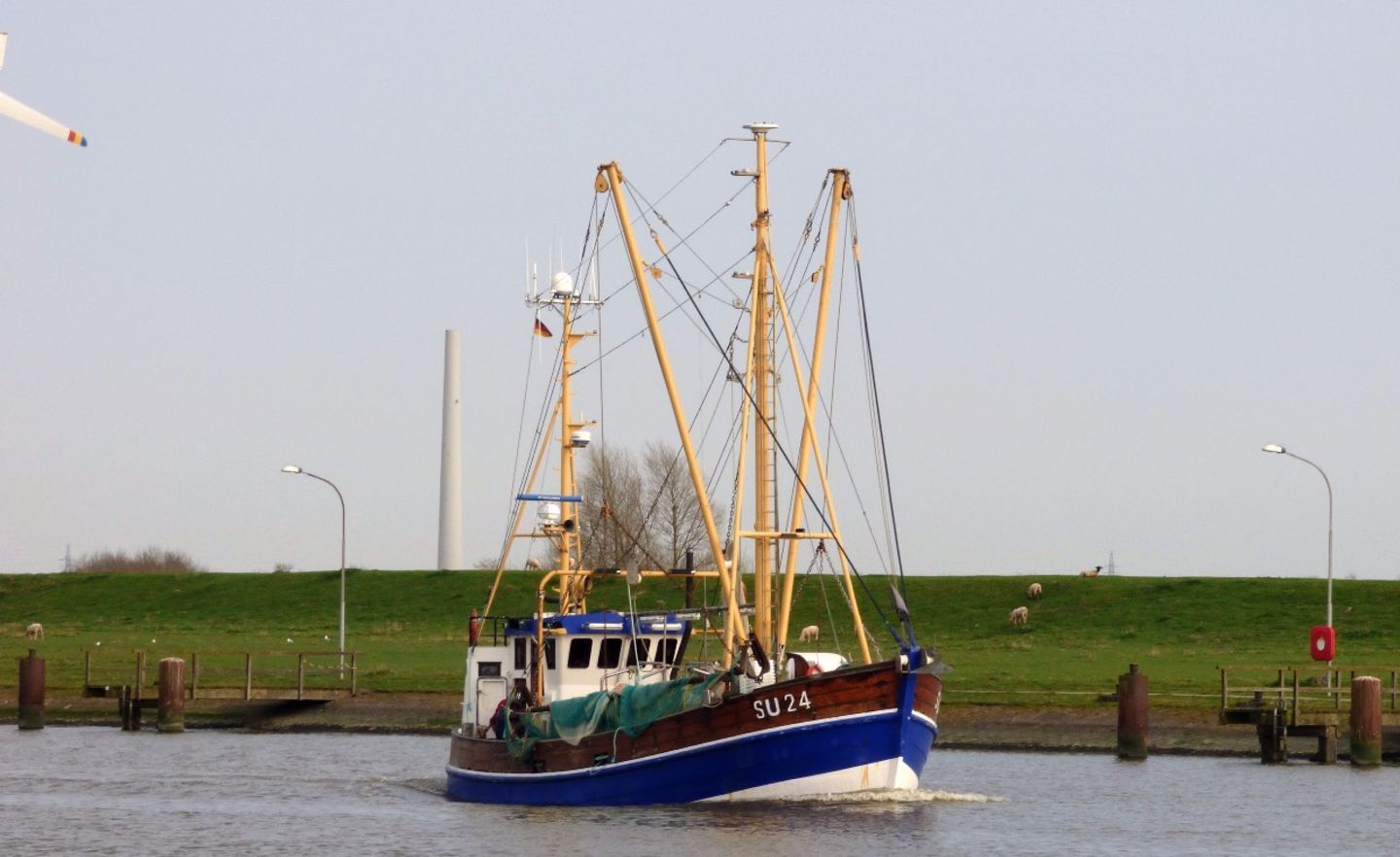 Der Krabbenkutter „SU24 Birte“ 2018 auf Husum