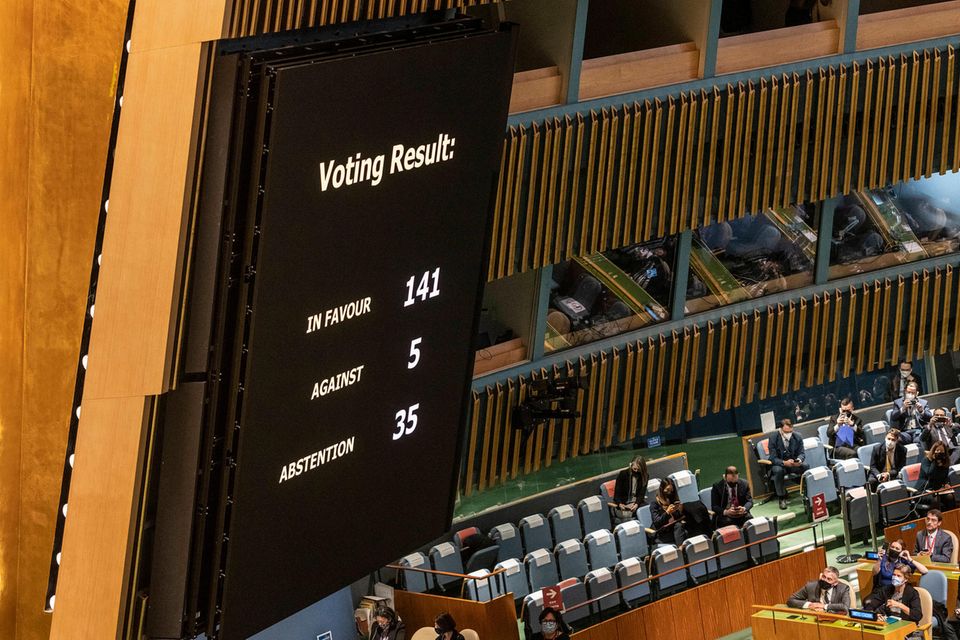 Die UN-Resolution gegen Russland wurde mit überwältigender Mehrheit angenommen.