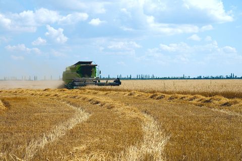 Die Ukraine hatte im Getreidebereich 2021/22 einen Weltmarktanteil von 14 Prozent.