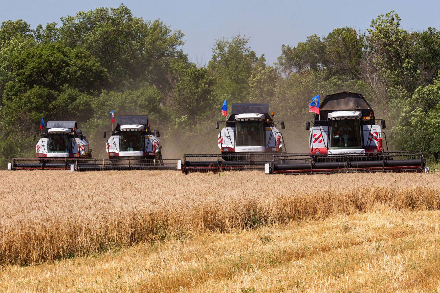 Mähdrescher auf Feldern in der ostukrainischen Region Lugansk im Sommer 2021.