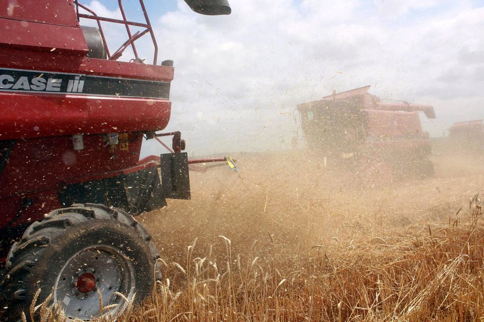 Baywa-Chef Lutz: „Fällt die Mais-Lieferung der Ukrainer aus, haben wir ein Problem“