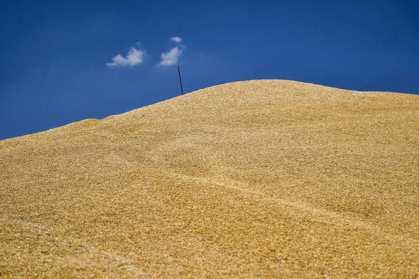 Alle drei Investments des Pensionsfonds in der Ukraine stammten aus dem Bereich Agrar und Lebensmittelproduktion. Die Nummer eins war Ende 2021 das größte Agrarproduktunternehmen des Landes, Myronivsky Hliboproduct (MPH). Der auf Getreideanbau und Geflügelzucht spezialisierte Konzern kam auf einen Marktwert im Portfolio von 198,6 Mio. Kronen. Beim Konkurrenten Ovostar Union waren es lediglich 21,4 Mio. Kronen. Geradezu minimal fielen die Anteile an der Mriya Agro Holding mit gerade einmal 2583 Kronen aus. Alle drei Firmen waren laut der Norges-Datenbank auf Zypern oder in den Niederlanden registriert.
