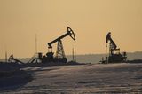 Energie ist mit großem Abstand der russische Exportschlager schlechthin. Die Warengruppe „mineralische Brennstoffe, Mineralöle und Erzeugnisse“ lag 2019 laut Destatis mit 52,0 Prozent auf Platz eins der Ausfuhren. Russland dominiert aber auch mit einigen landwirtschaftlichen Erzeugnissen den Weltmarkt. So stammten den Angaben zufolge zuletzt 55 Prozent des weltweit exportierten Sonnenblumenöls und 51 Prozent des Sonnenblumenkuchens aus Russland (Sonnenblumenkuchen fällt bei der Ölherstellung an und ist ein begehrtes Tierfutter). Beim Weizen kam Russland auf einen Anteil von neun Prozent, weit hinter der Ukraine mit 19 Prozent. Bei den Einfuhren setzte Russland zuletzt vor allem auf Maschinen und mechanische Erzeugnisse. Diese Warengruppe lag mit 17,5 Prozent auf Platz eins.