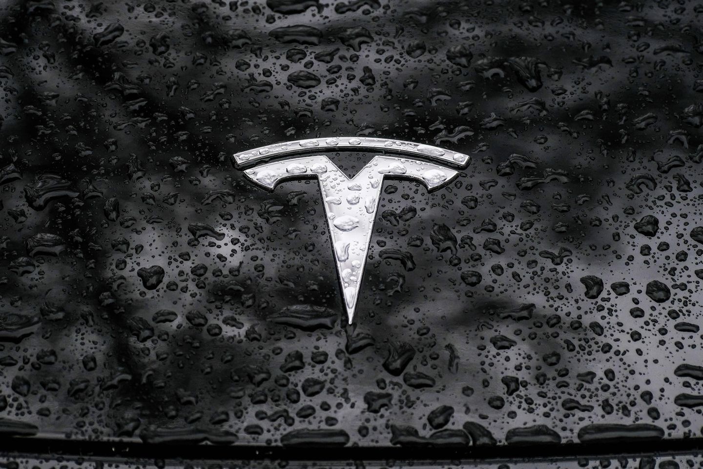 Tesla-Emblem im Regen