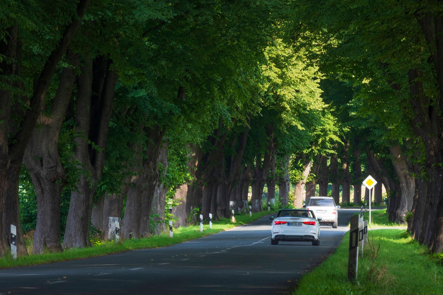 In keinem Bundesland haben Check24-Kunden zuletzt so weite Strecken per Auto zurückgelegt wie in Mecklenburg-Vorpommern. Dort waren Autofahrer jährlich im Schnitt 12.745 Kilometer auf der Straße unterwegs. Sie hatten damit rund 3220 Kilometer mehr als die Berliner auf dem Tacho. Das entspricht in etwa der Strecke von Hamburg nach Teheran (Luftlinie).