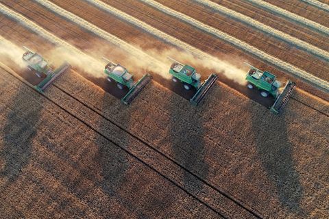 Mähdrescher bei der Weizenernte in der russischen Region Krasnojarsk im Jahr 2021.