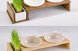 CanadianCat-Futterbar „Cat Diner“ (Wagner Pet Products Group)  „Das Original: Pfiffiges (geschütztes) Design, gut durchdachte Ergonomie, hochwertige Anmutung. Idee, Formen, Farben und Anordnung der Elemente wurden nahezu 1:1 übernommen. Der billige Preis, ein Fünftel des Originals, zeigt sich bei Materialien und Feinkonstruktion. Die Futterschalen sind beim Plagiat nicht aus form- und hitzebeständiger Keramik, sondern aus billigem Plastik. Die Schalen sitzen nicht stabil in der Aussparung, d.h. beim Fressen rutschen sie unkontrolliert und laut scheppernd hin und her. Aufgrund der eindeutigen Designverletzung und im Sinne einer schnellen, unbürokratischen Einigung war der Lieferant / Themen-Promotor des deutschen Discounters zu einer außergerichtlichen, gütlichen Beilegung des Falls bereit.“ (Oben das Original, unten das Plagiat)