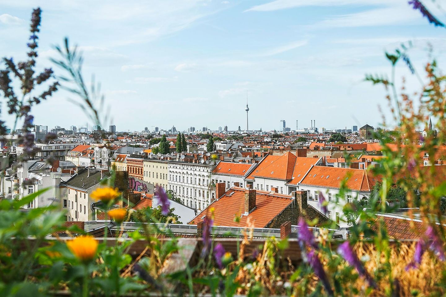 Blick auf Häuser in Berlin mit dem Fernsehturm im Hintergrund