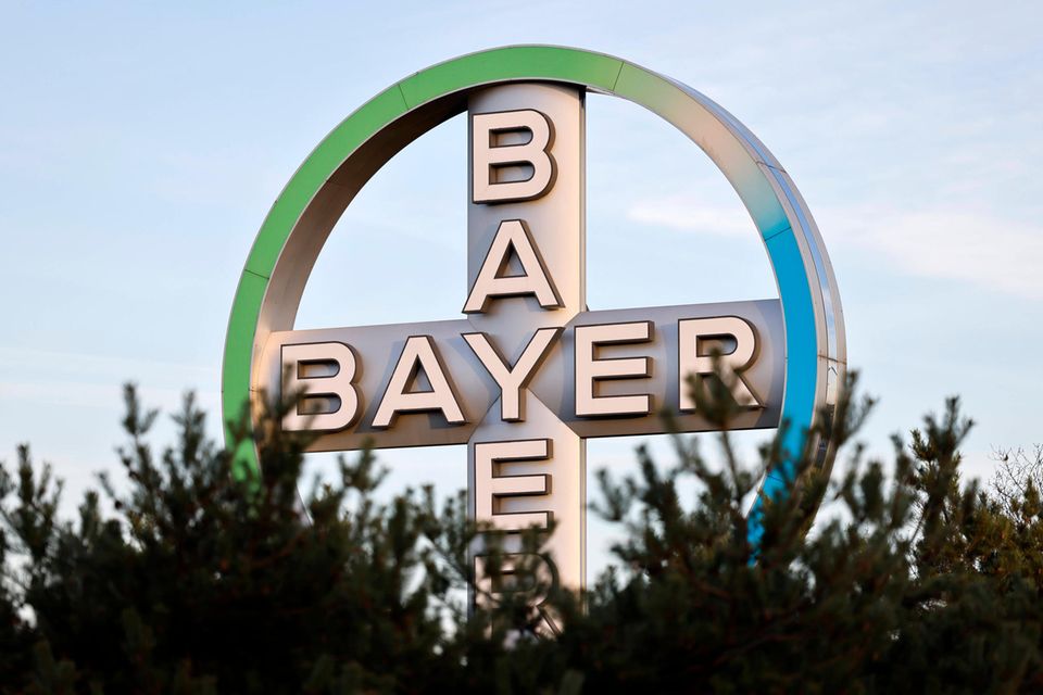 Das Bayer-Kreuz in Leverkusen
