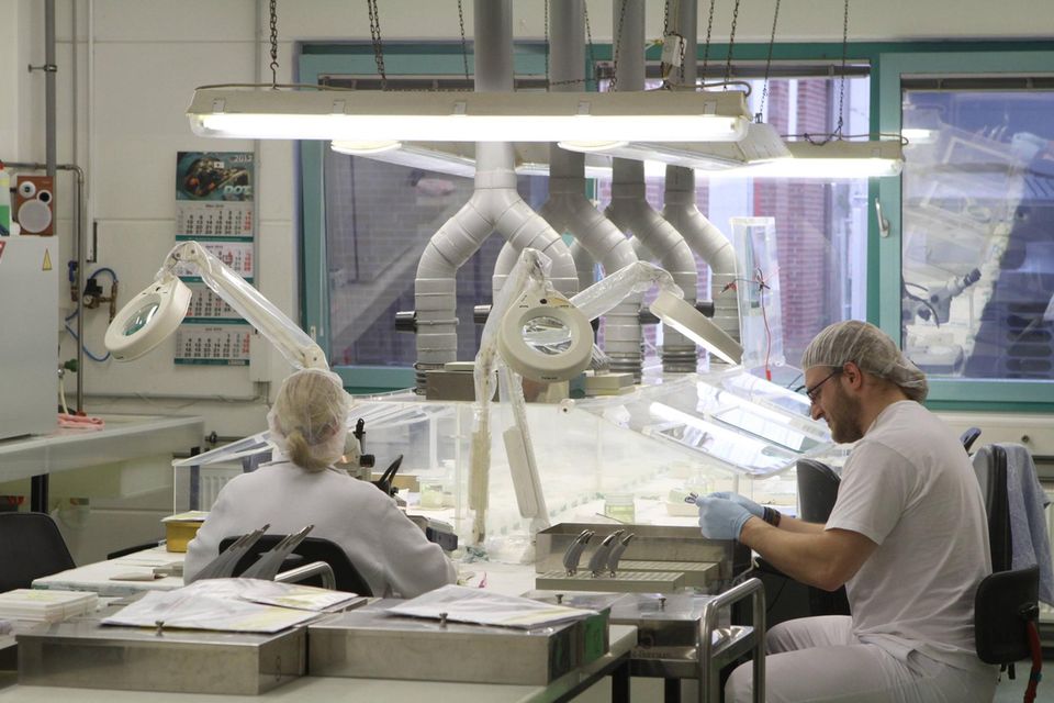 Blick in den Arbeitsraum eines Unternehmens, das unter anderem Implantate beschichtet