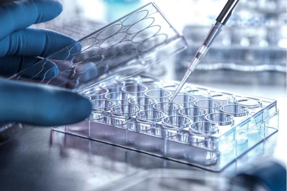 Auch die Pharmabranche hält ihre Führungskräfte und Vertreter mobil – und das oft mit Stil. Der durchschnittliche Wagenpreis von 46.176 Euro war der zweithöchste in den Top 10. Ein Anteil von 16,8 Prozent bedeutete in der Rangliste Platz sechs.