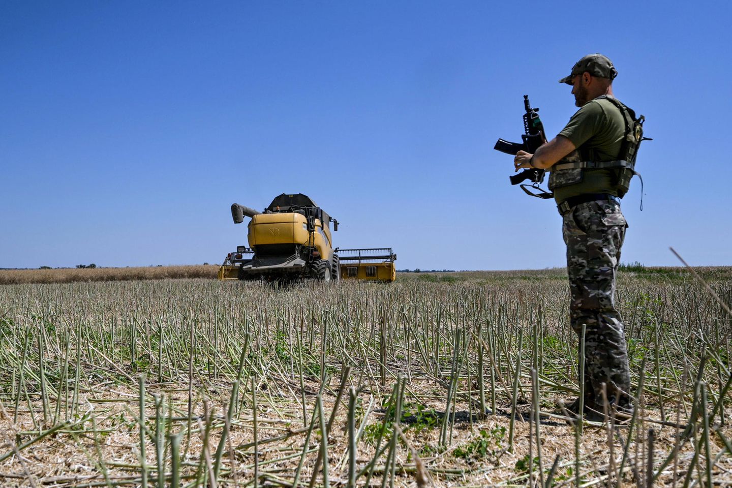Ein Soldat steht bei der Ernte auf einem Feld in der Region Saporischschja im Südosten der Ukraine